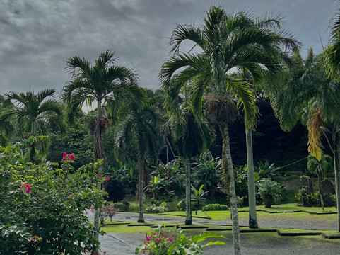 Banana Museum (Le Musee de la Banane)-马提尼克必去景点