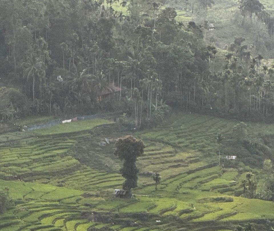 Kokotours (кокотур)-加勒必去景点