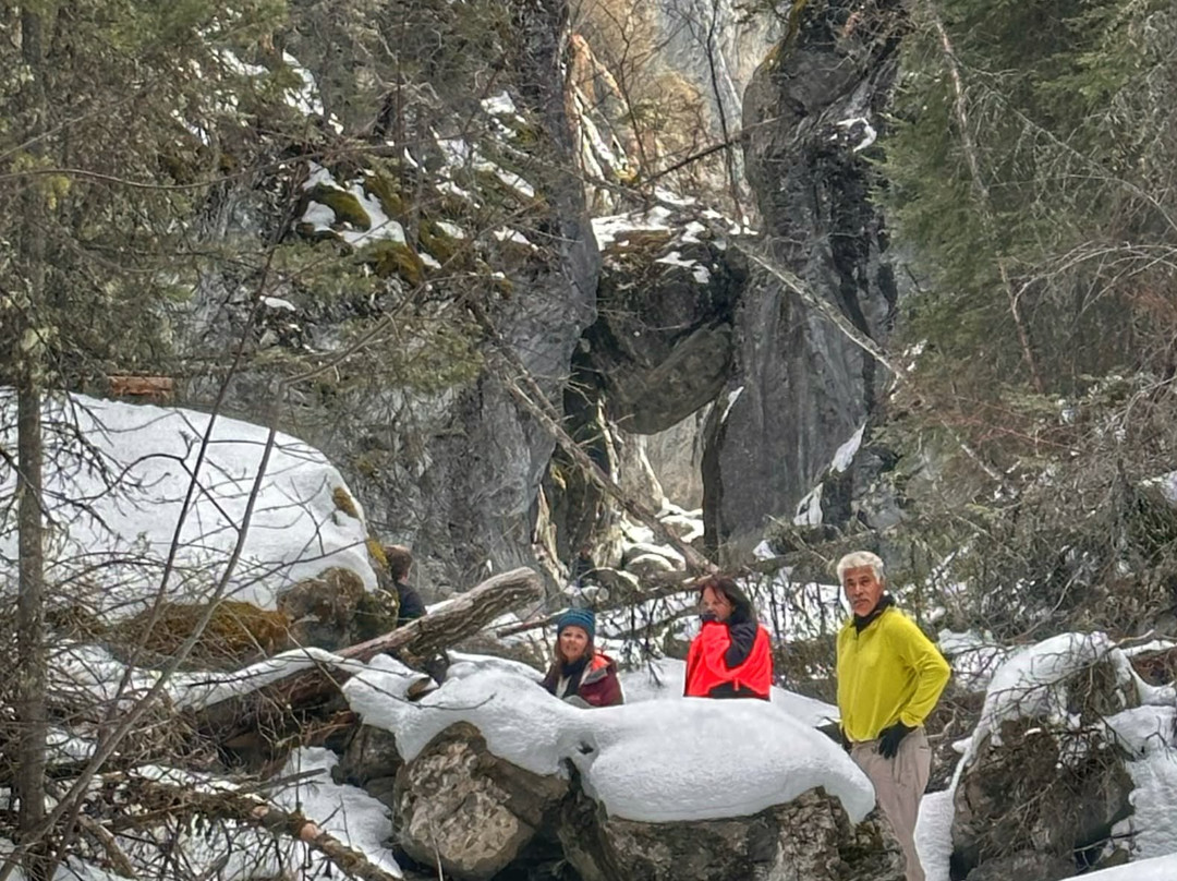 Bow Valley Canyon Tour-坎莫尔必去景点