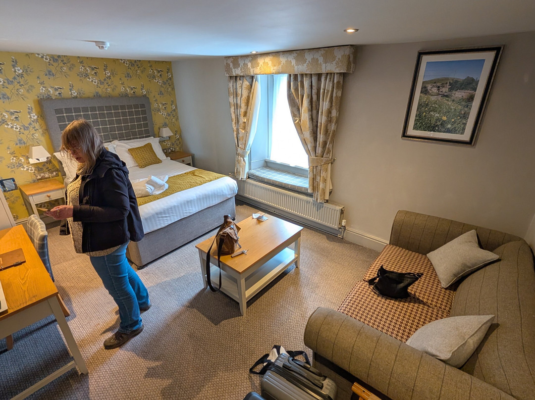 长毛羊宾馆主图