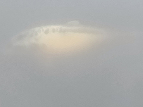 Biddulph Grange Garden-Biddulph必去景点