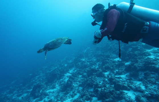 Joy Dive Maldives-萨芙莉岛必去景点