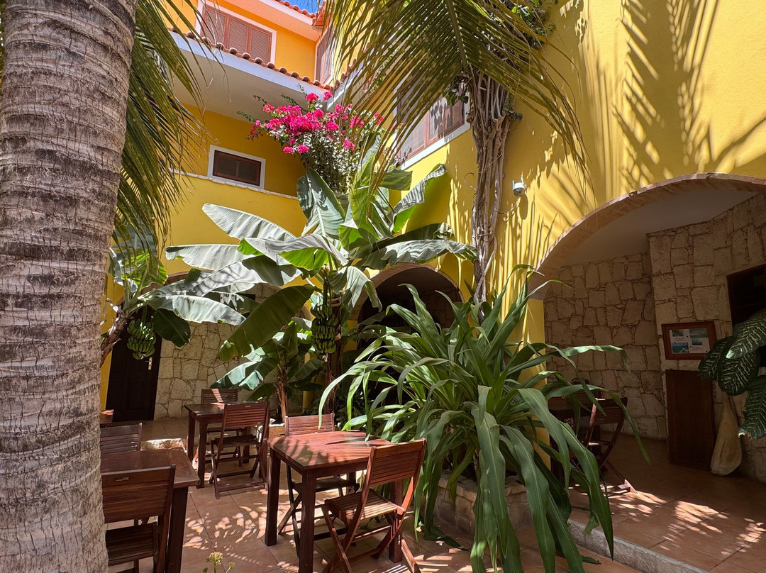 Orquidea Guest House主图