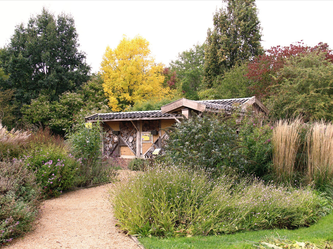 Utrecht University Botanic Gardens-乌特勒支必去景点
