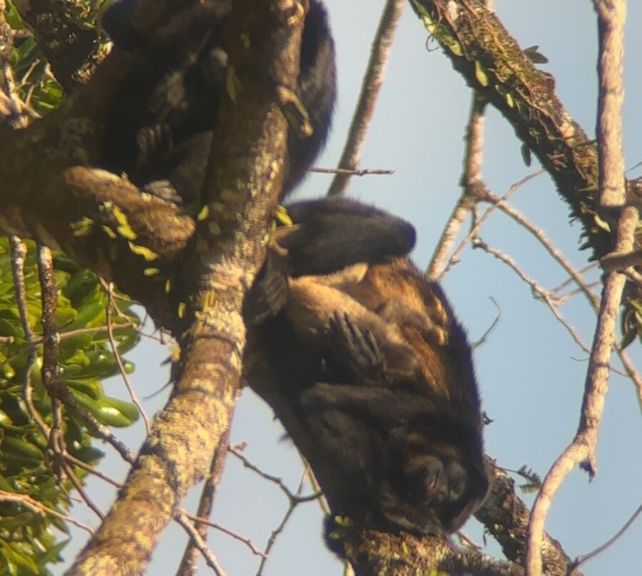 Goolonukos-塔马林多必去景点