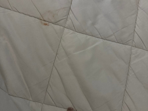 舒适酒店格伦蒙特 - 奥尔巴尼南主图