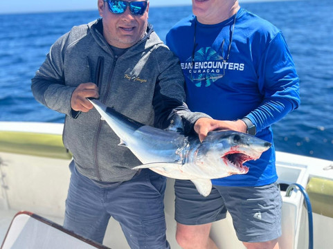 Kingfish Cabo-卡波圣卢卡斯必去景点