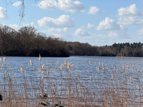 Virginia Water Café-Virginia Water必去景点