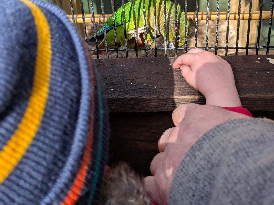 Lincolnshire Wildlife Park-Friskney必去景点