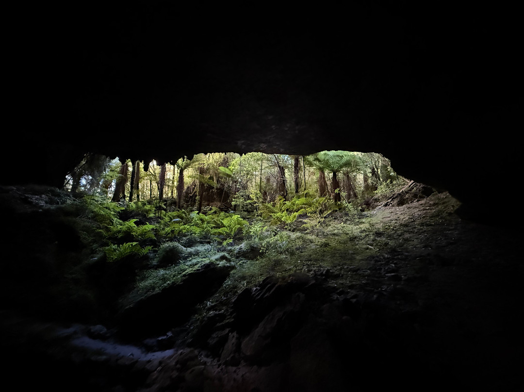 Oparara Kahurangi National Park Guided Tours-Karamea必去景点
