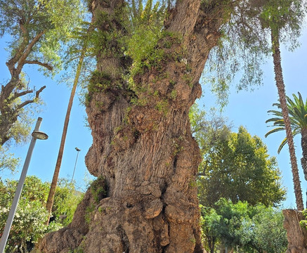 Plaza Prat-Copiapo必去景点