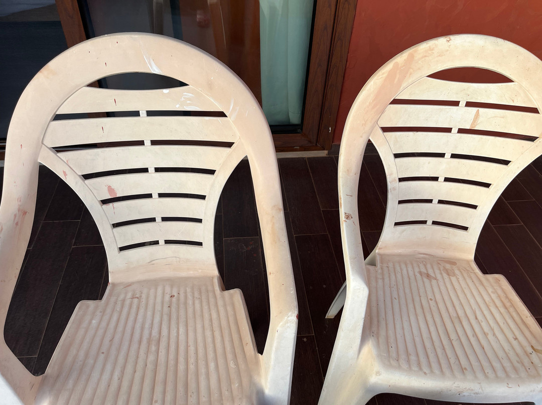 波巴布皇家地平线 - 全包式主图