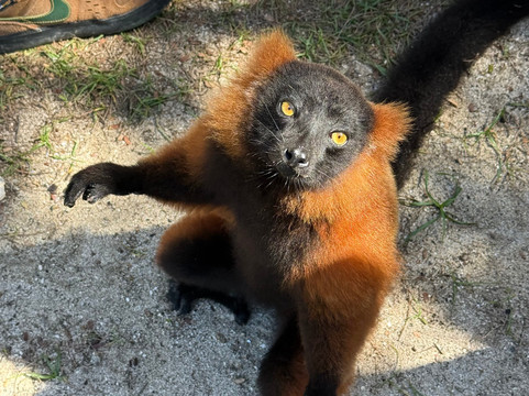 Sea It Clear Tours-North Sound必去景点