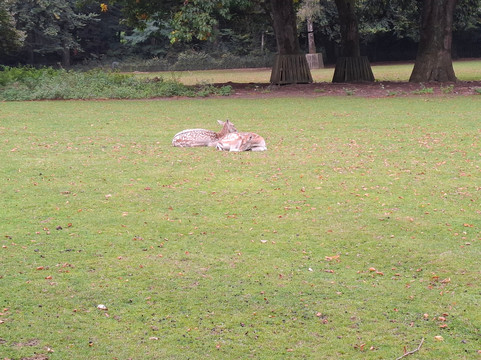 Park Hartenstein-Oosterbeek必去景点