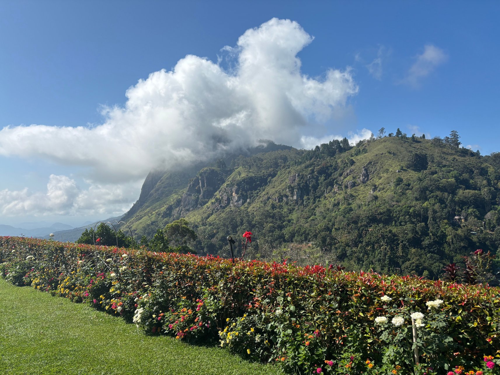 埃勒回声酒店-官方