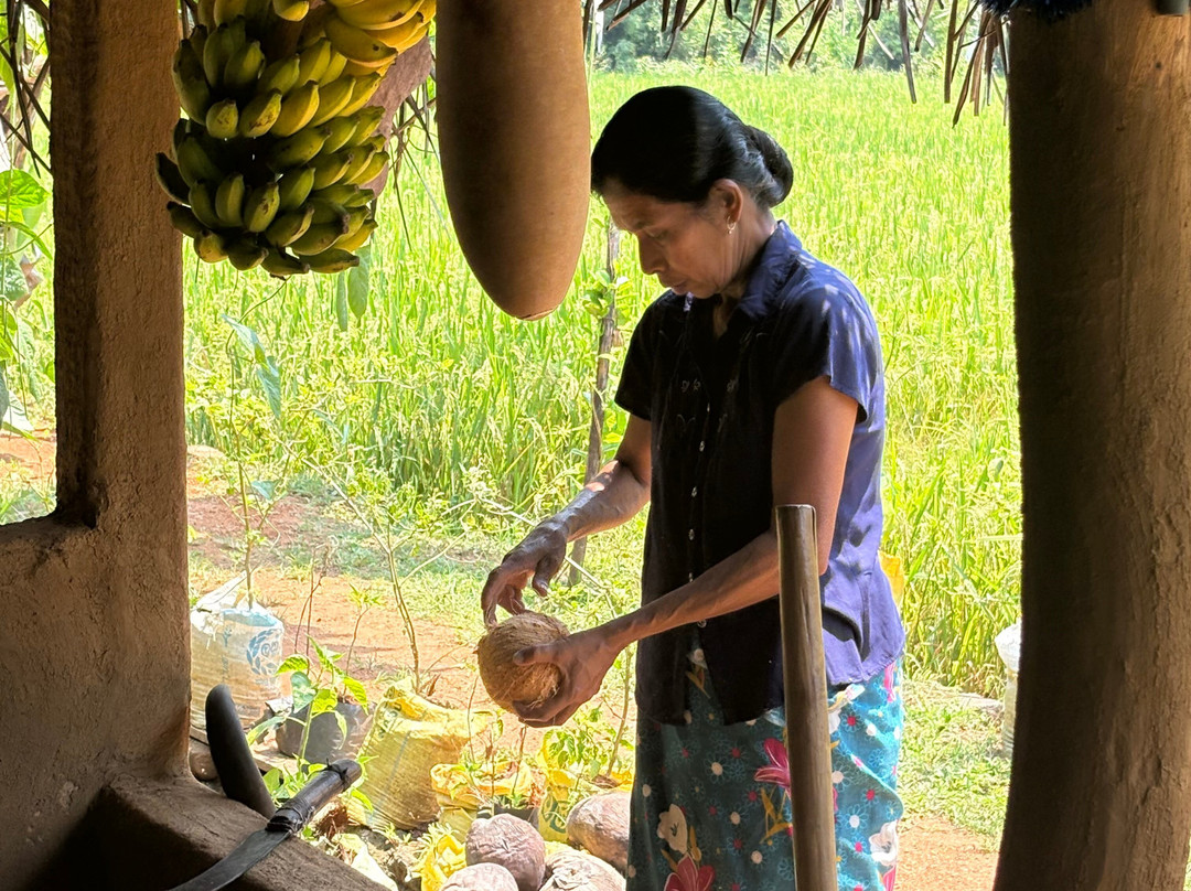 Mistyhills Tours-奴娃拉伊利雅必去景点