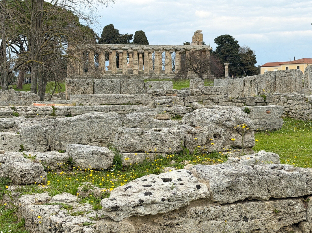 Parco Archeologico di Paestum e Velia-Paestum必去景点