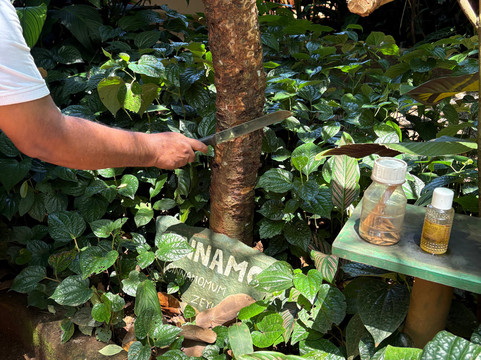Sirilak Spice & Herbal Garden-Matale必去景点