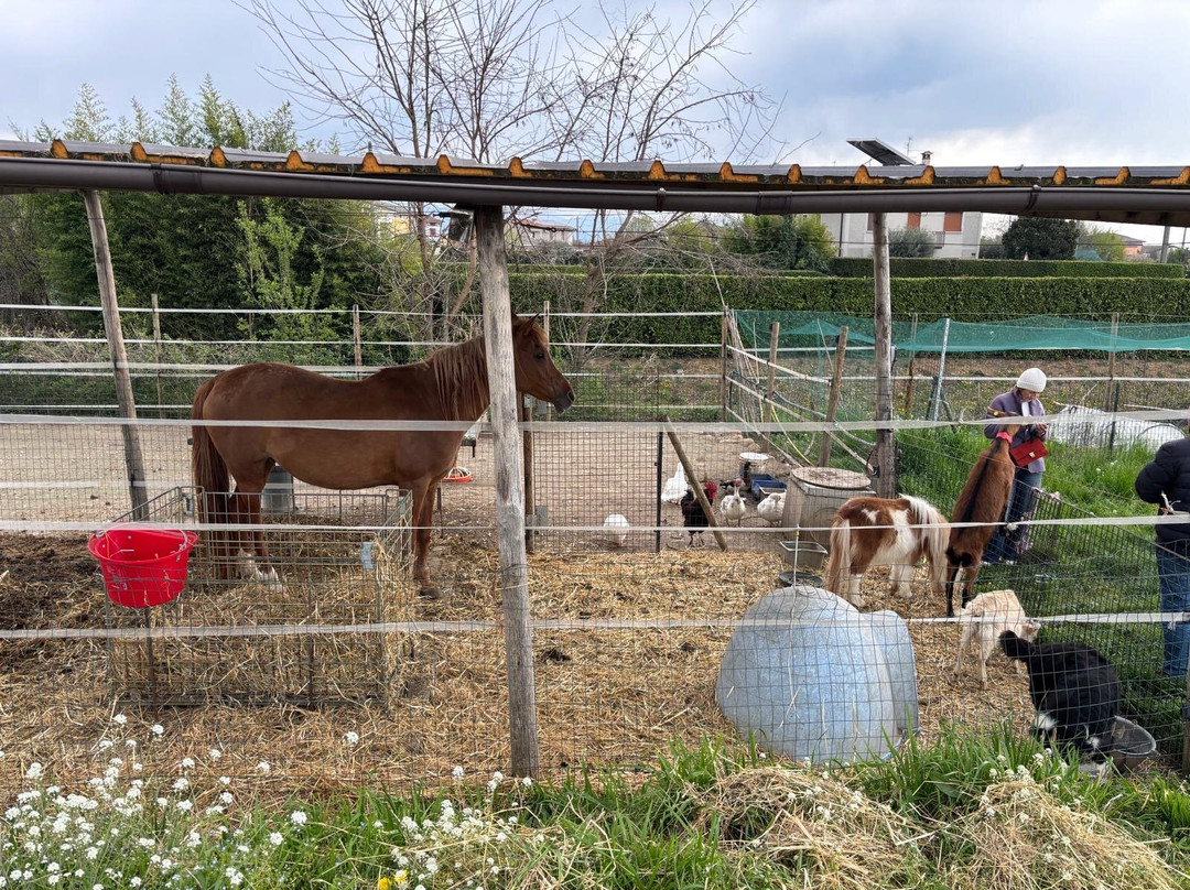 Tenuta & Agriturismo Ambrosini-Cazzago San Martino必去景点