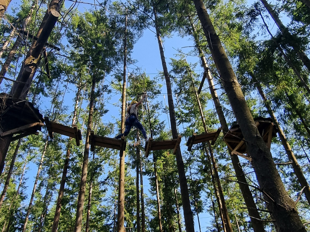 The Tunnel Tree Tops High Ropes-Charmouth必去景点