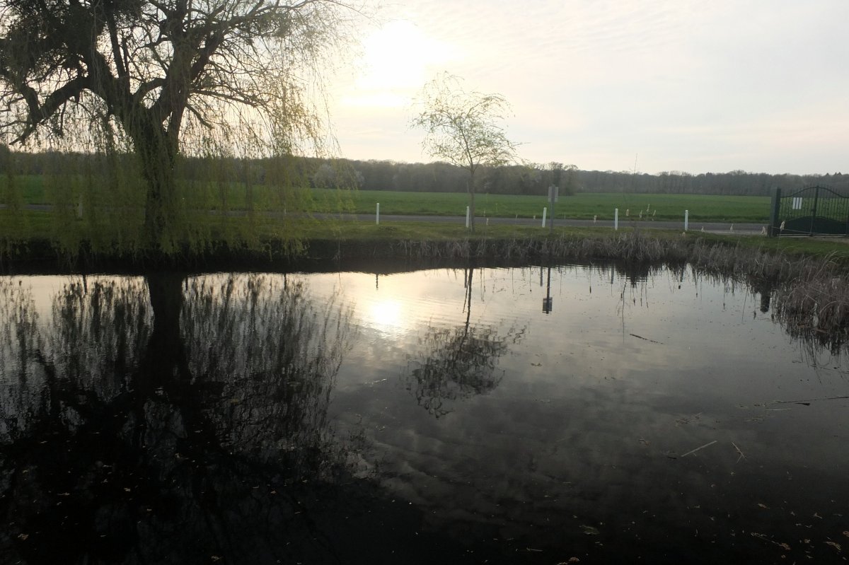 弗列伊之家酒店-官方