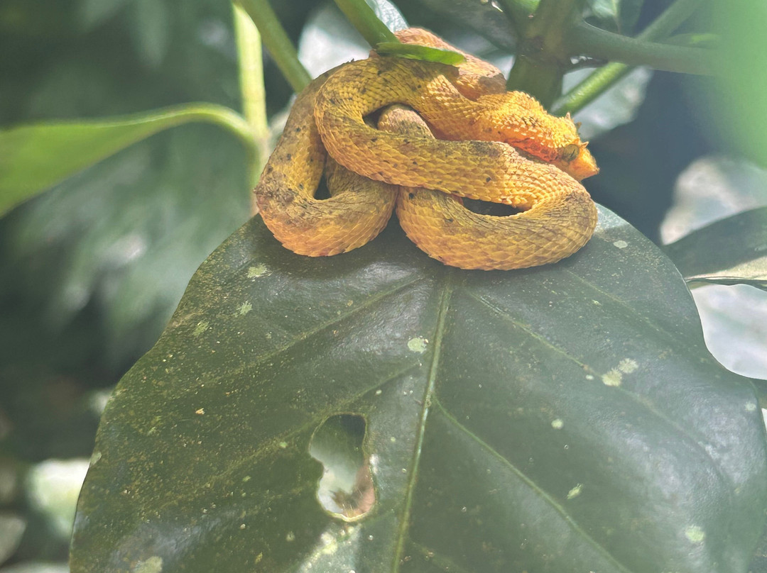 Royal Service Tours-利比里亚必去景点