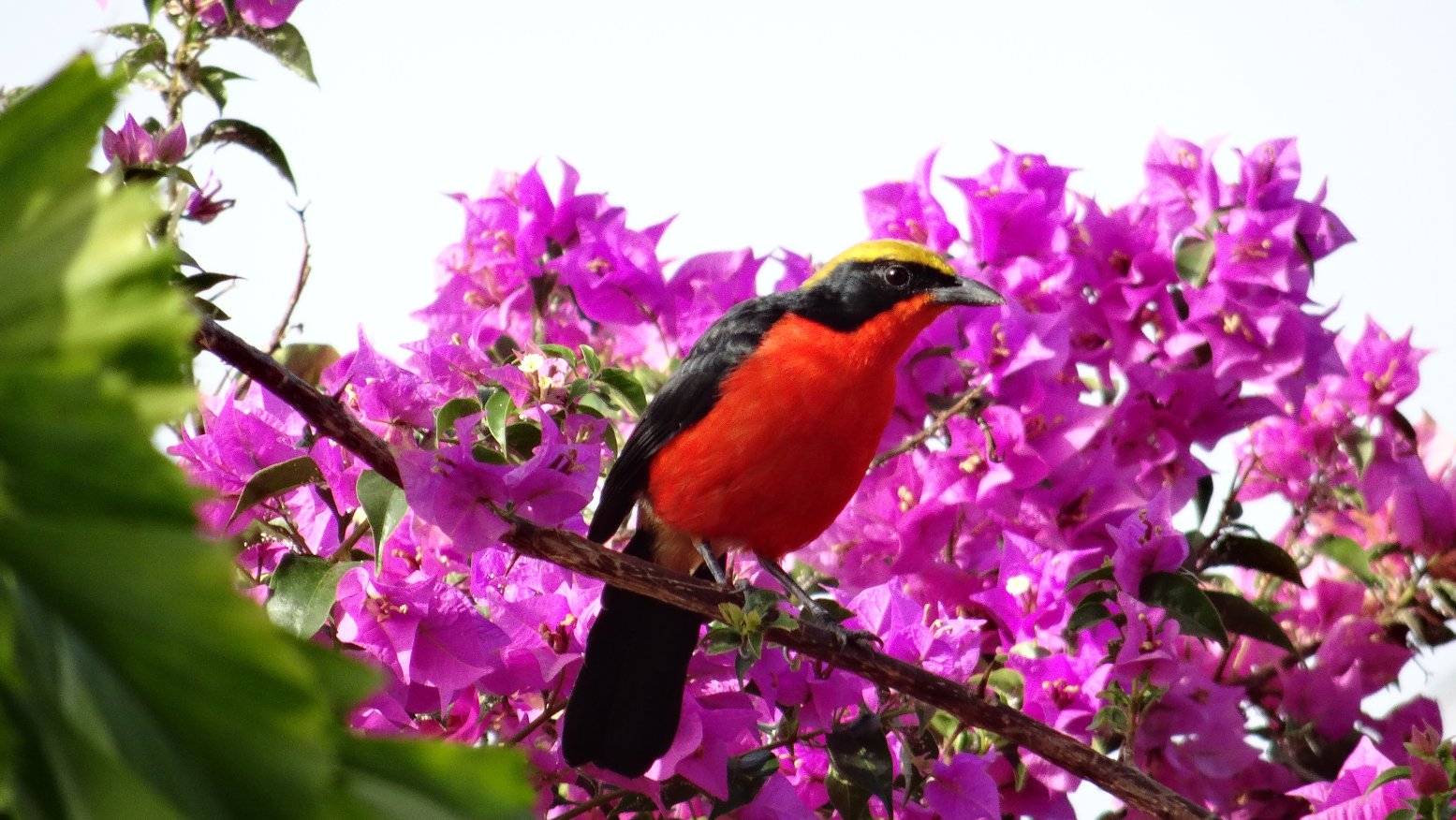 里欧海滩休闲酒店及餐厅 - 限成人入住-度假村/酒店