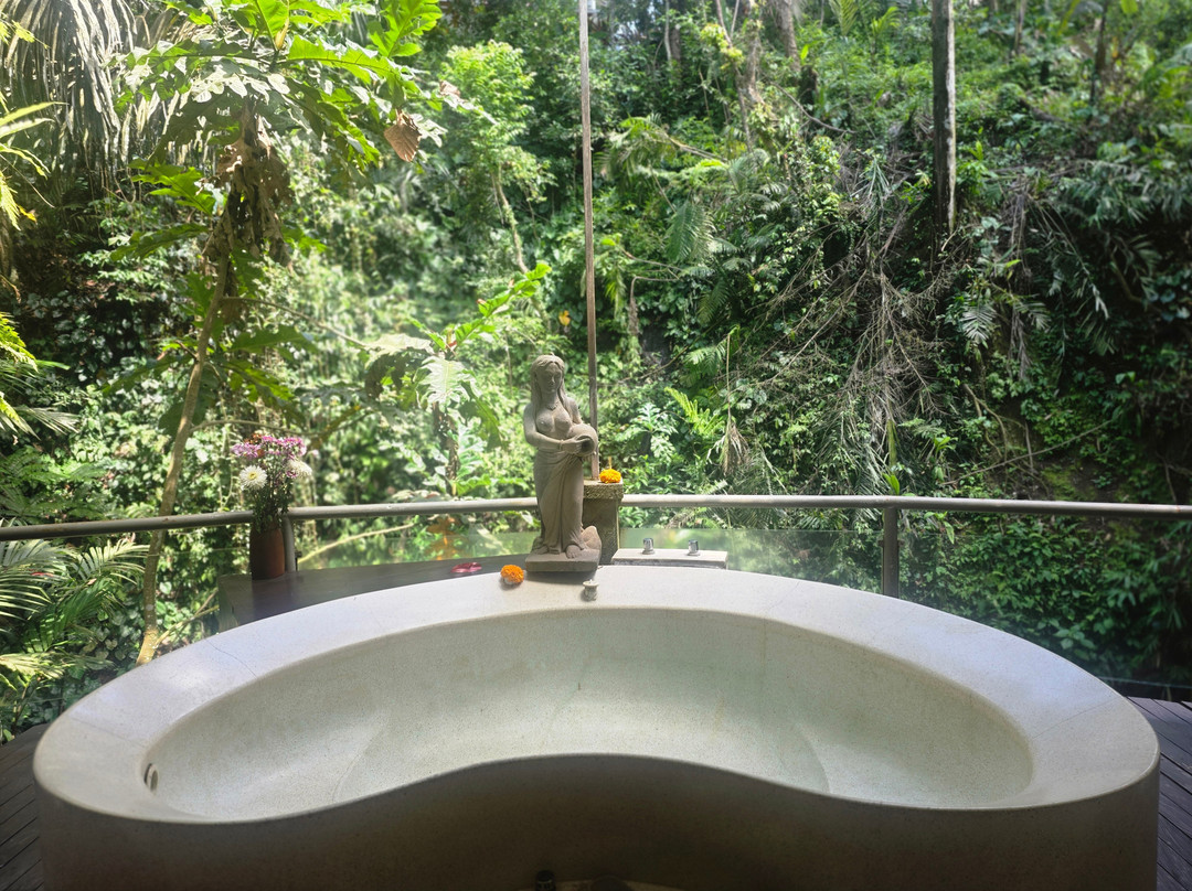 Radha Spa At The Sankara Suites & Villas-乌布必去景点