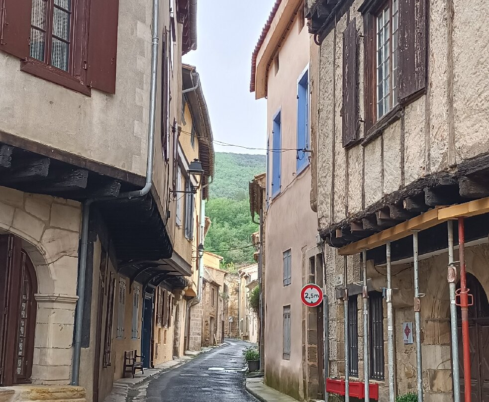 Vieille Ville Alet-les-Bains-Alet les Bains必去景点