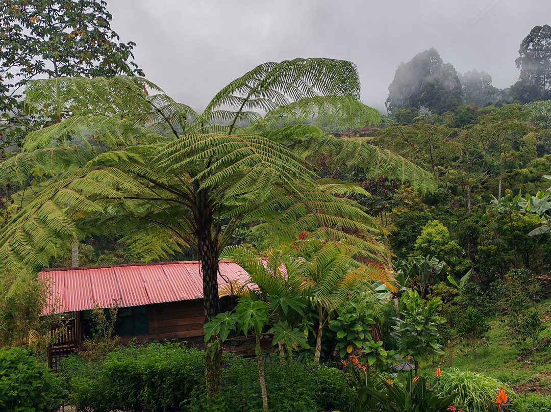 La Tángara Hostal Rural主图