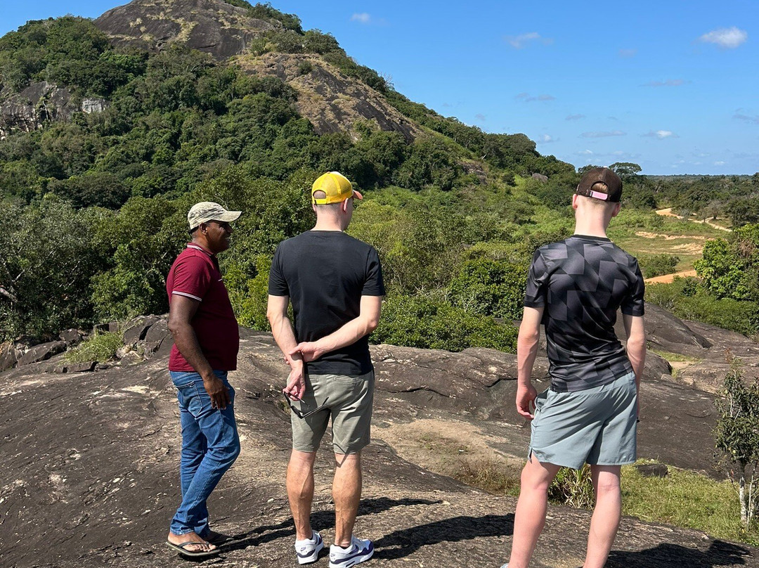 Minneriya Safari Tours-哈巴拉娜必去景点