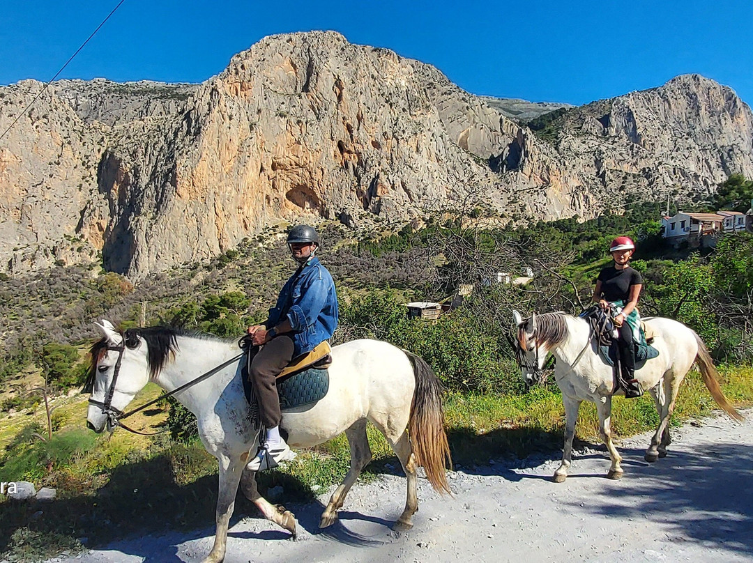 Horse Riding El Chorro-El Chorro必去景点