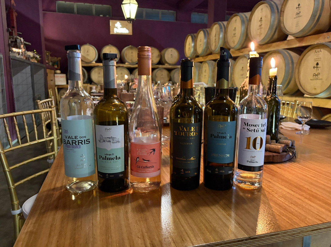 Adega de Palmela-Palmela必去景点