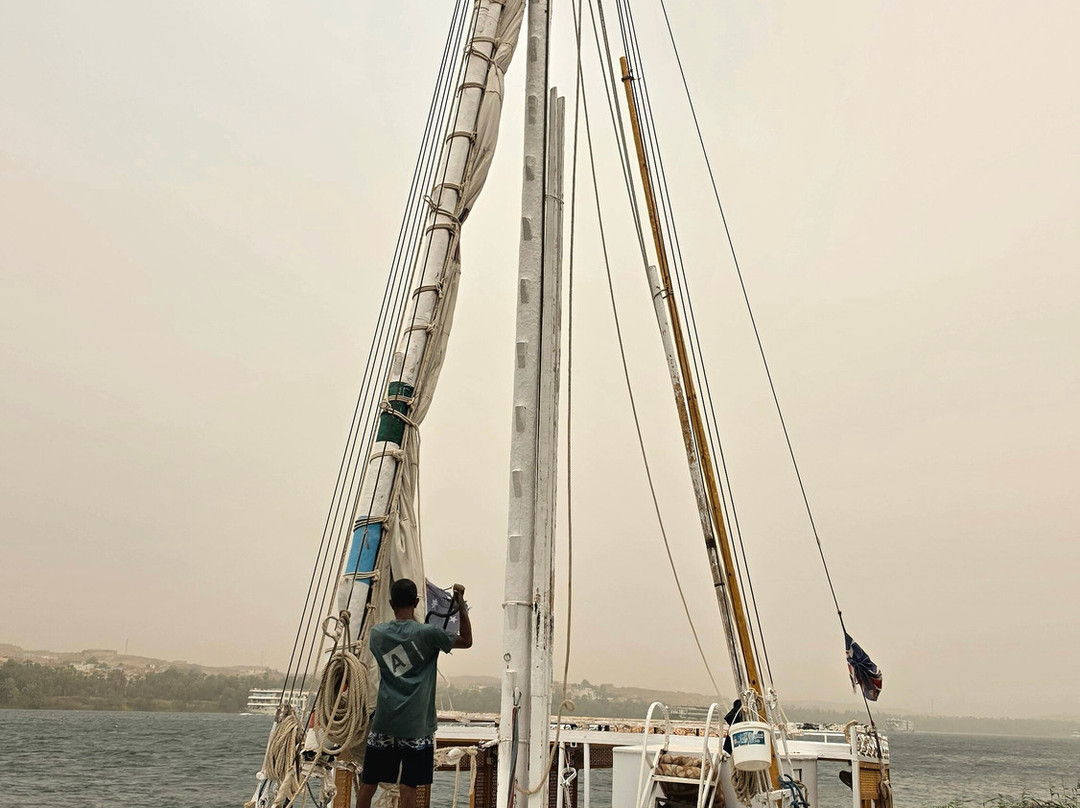 Nile Crocodile Felucca Tour-亚斯文必去景点