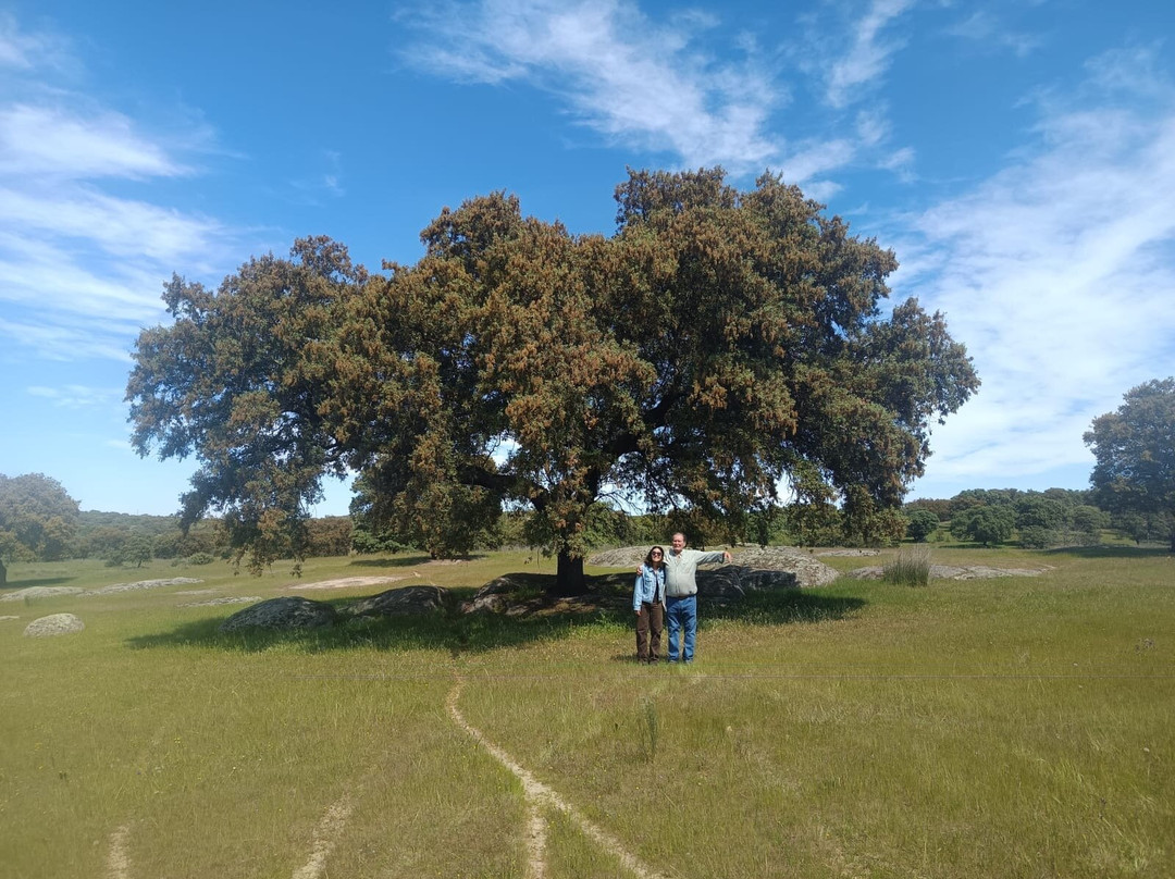 Gastro Dehesa-梅里达必去景点