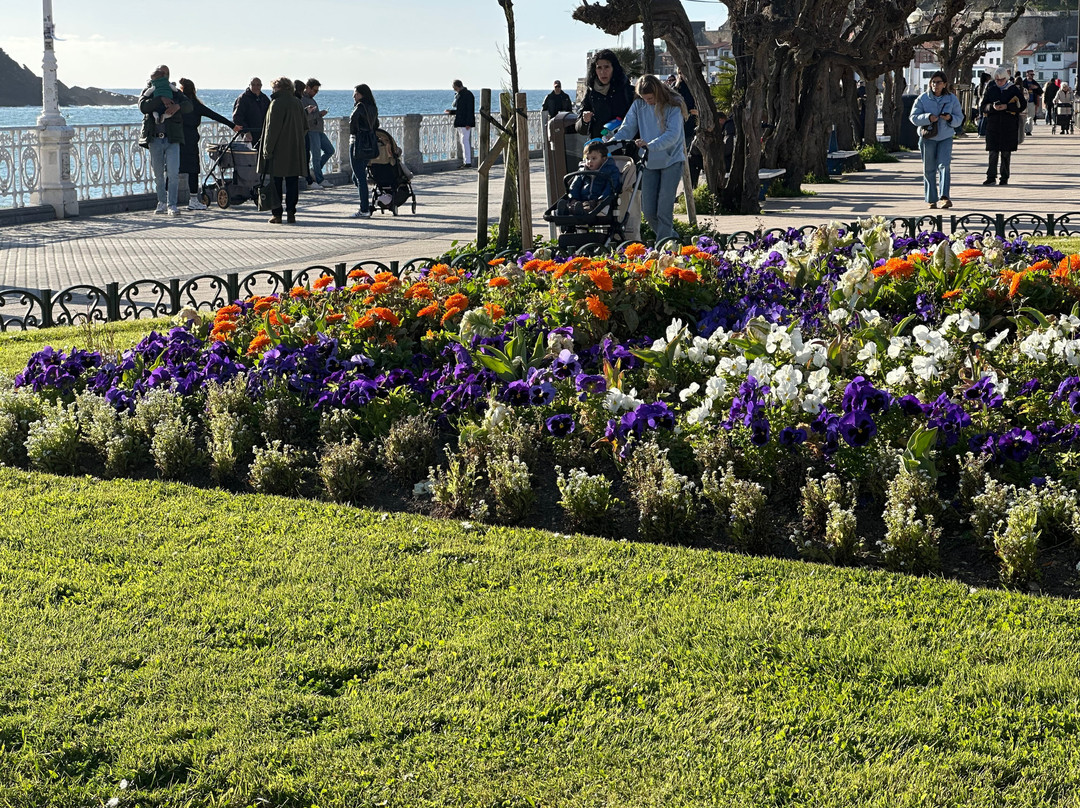 Alderdi Eder parkea-圣塞瓦斯蒂安必去景点