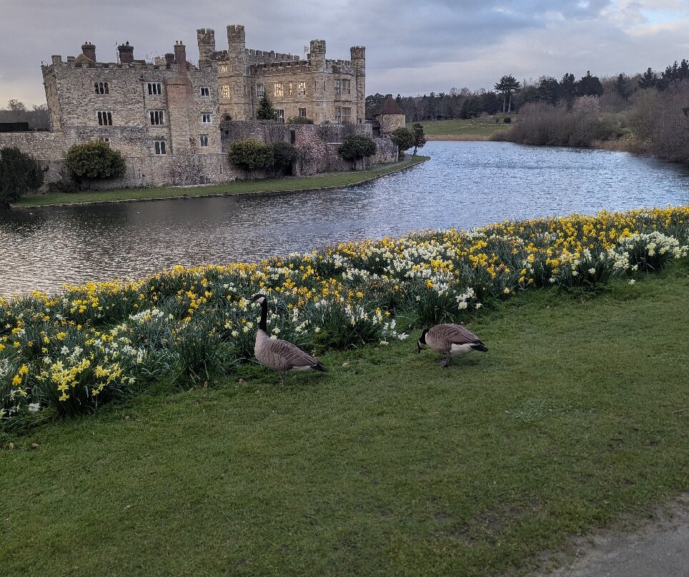 Leeds Castle Segway Tours-梅德斯通必去景点