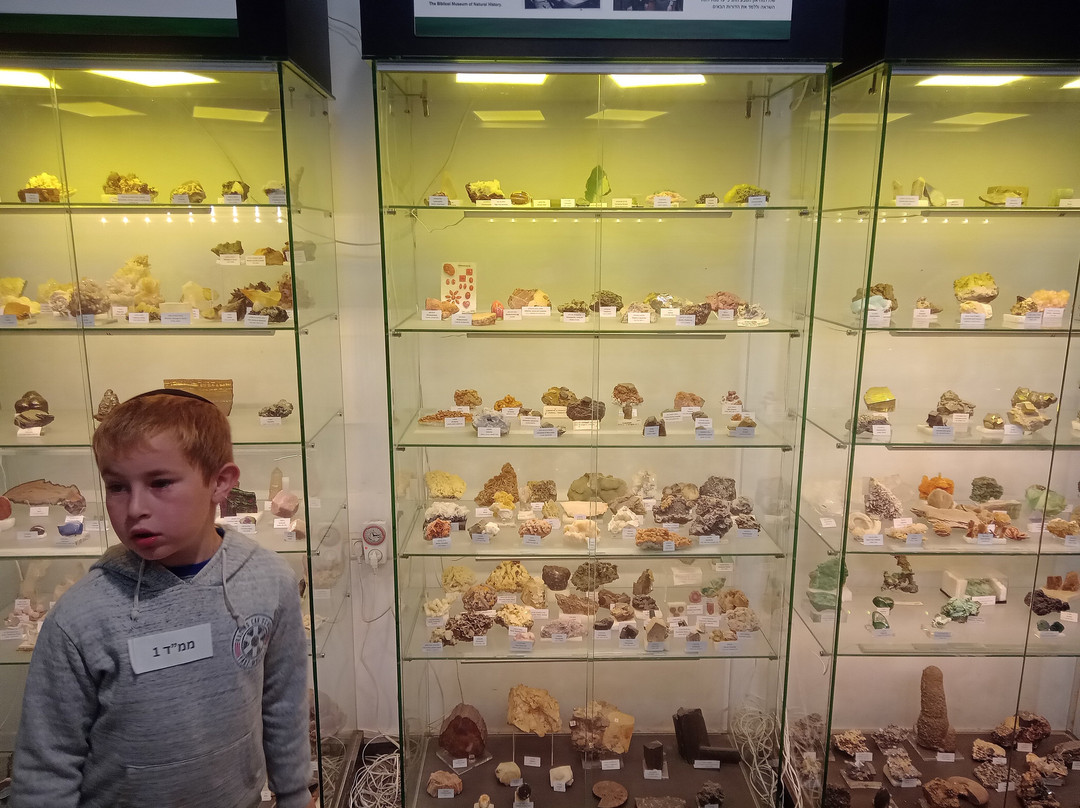 The Biblical Museum of Natural History-Beit Shemesh必去景点