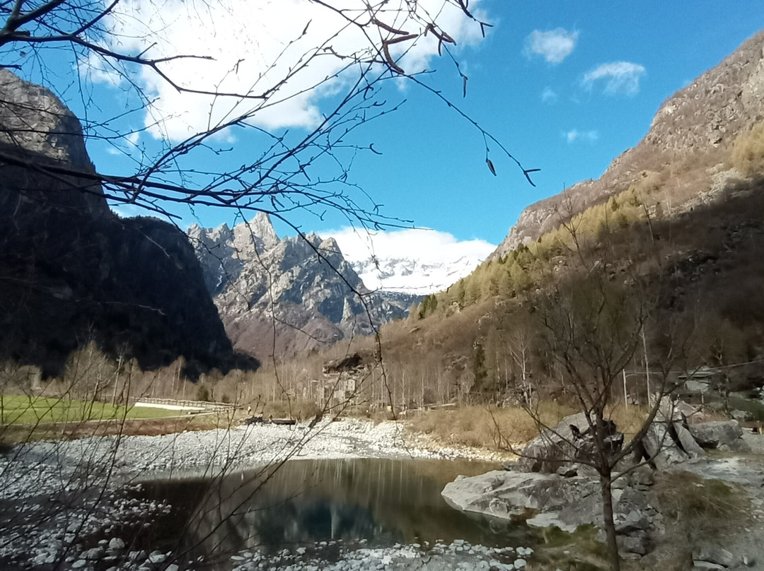 Hotel Rustichella主图