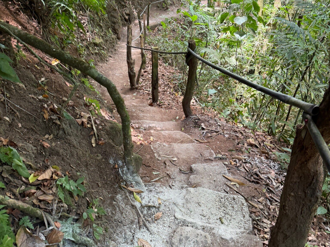 Manakin Waterfalls Nature Reserve.-Tilaran必去景点
