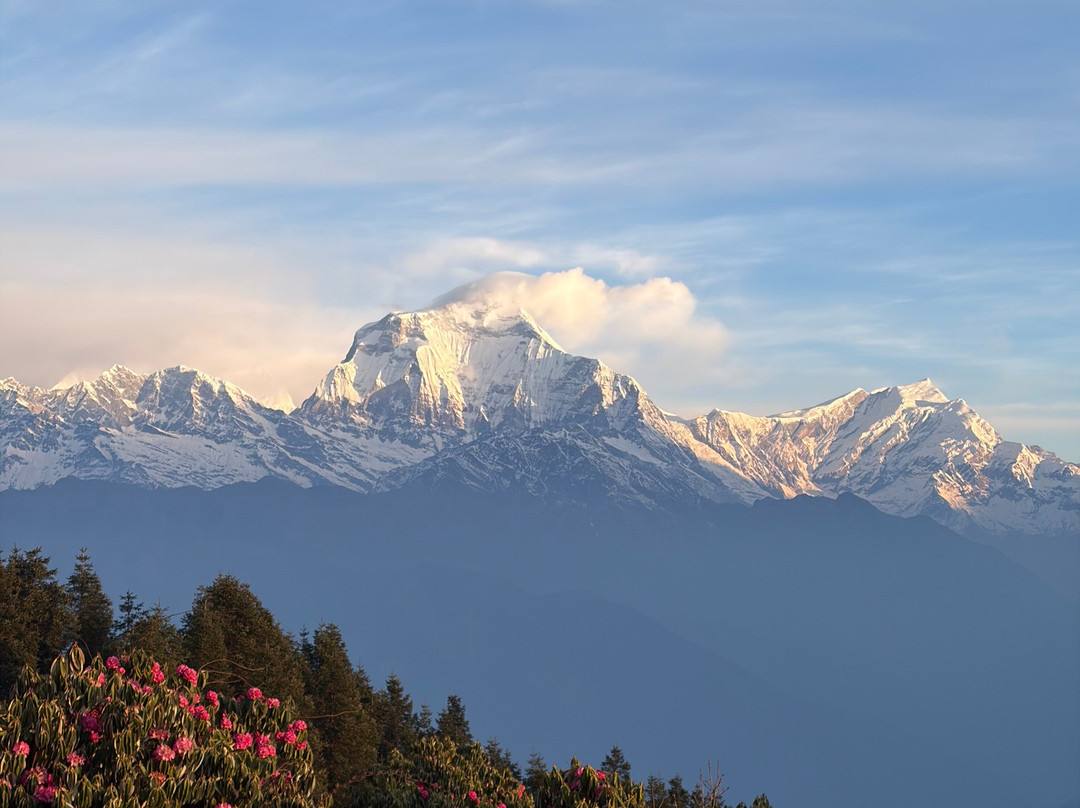 EARTH NEPAL Travel and Trek P. LTD-博卡拉必去景点