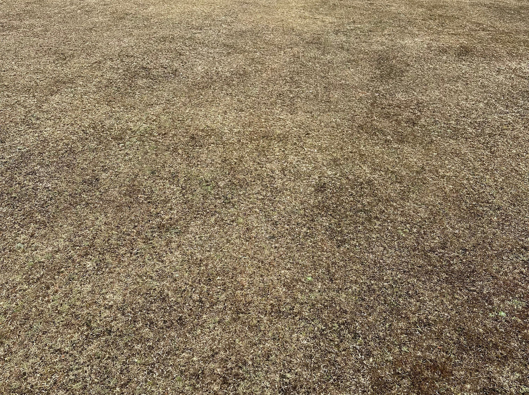 Isle of Purbeck Golf Club-波贝克岛必去景点