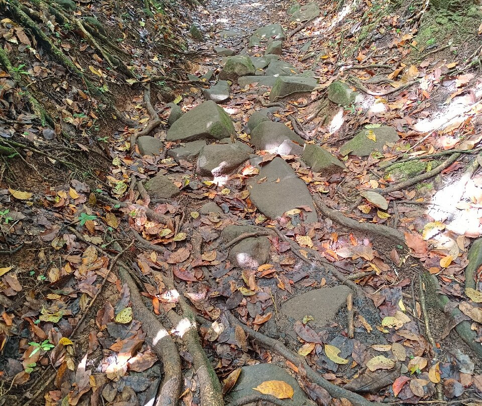 Forêt départementale-domaniale de Montravail-圣吕斯必去景点