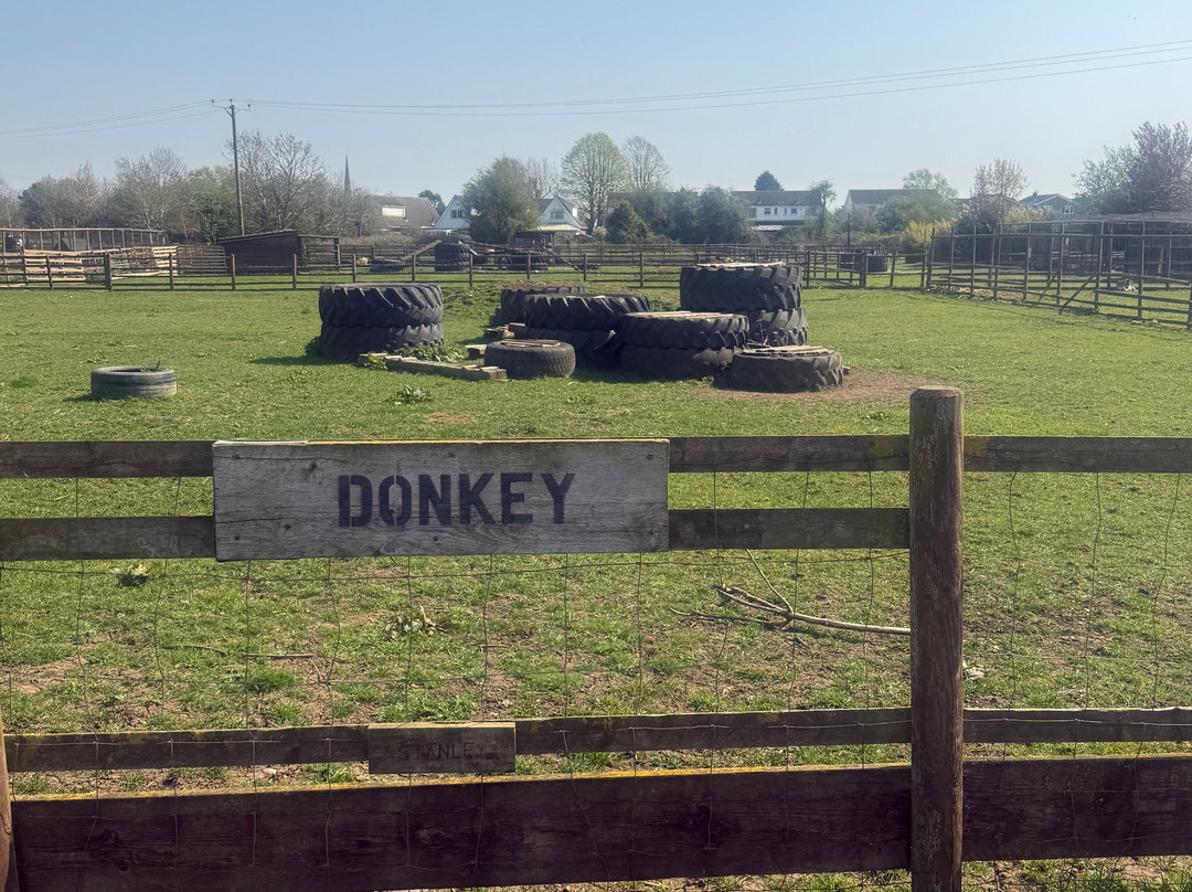 Little Jack's Farm and Garden Centre-Bottesford必去景点