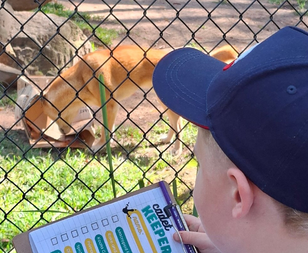 Billabong Zoo Koala & Wildlife Park-麦克夸利港必去景点