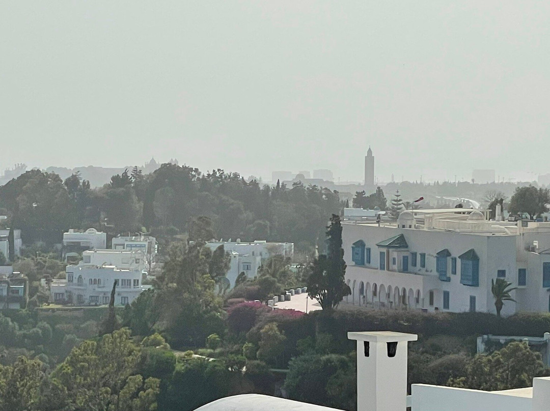 Sidi Bou Said Village-蓝白小镇必去景点