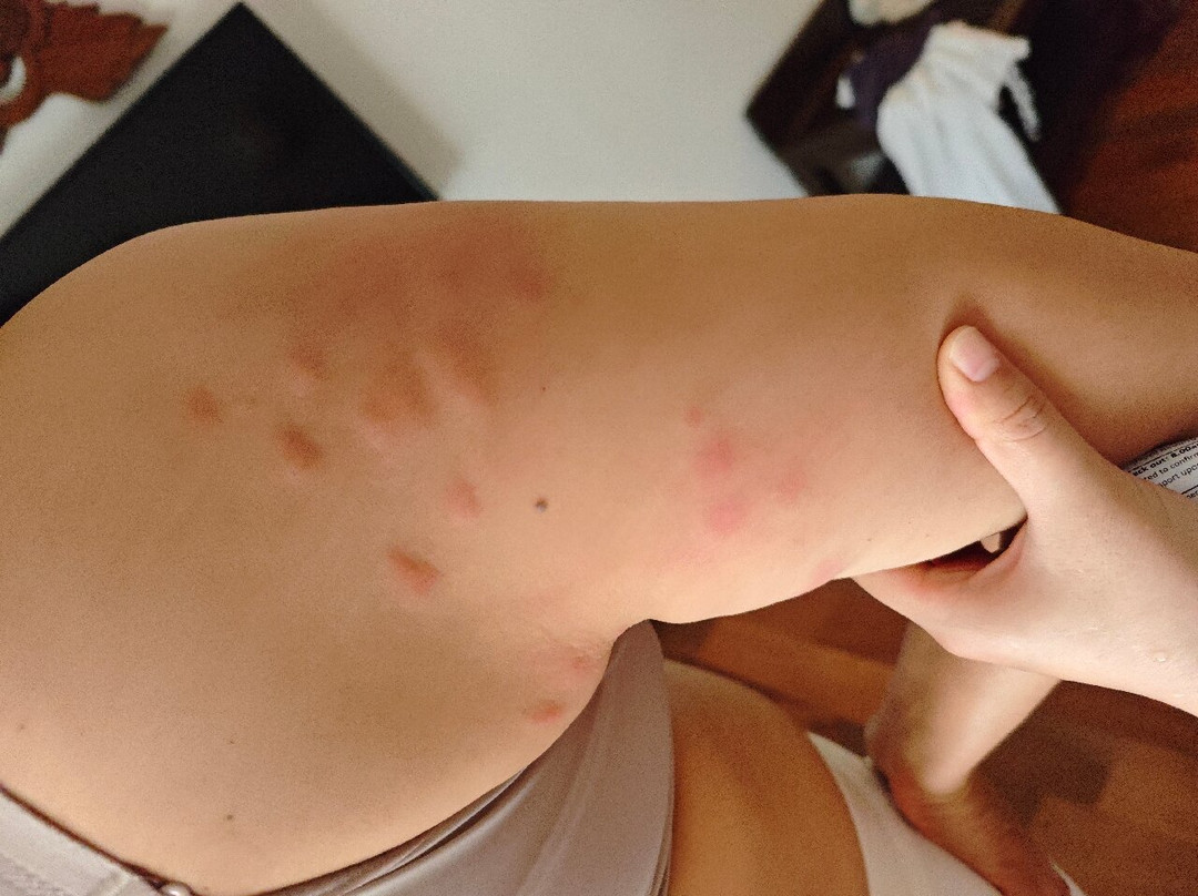 热浪岛拉古娜度假村主图