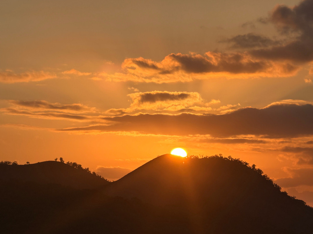 科隆有趣狮子酒店主图