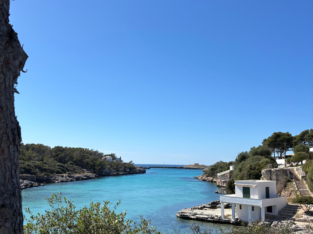 射手座大酒店主图