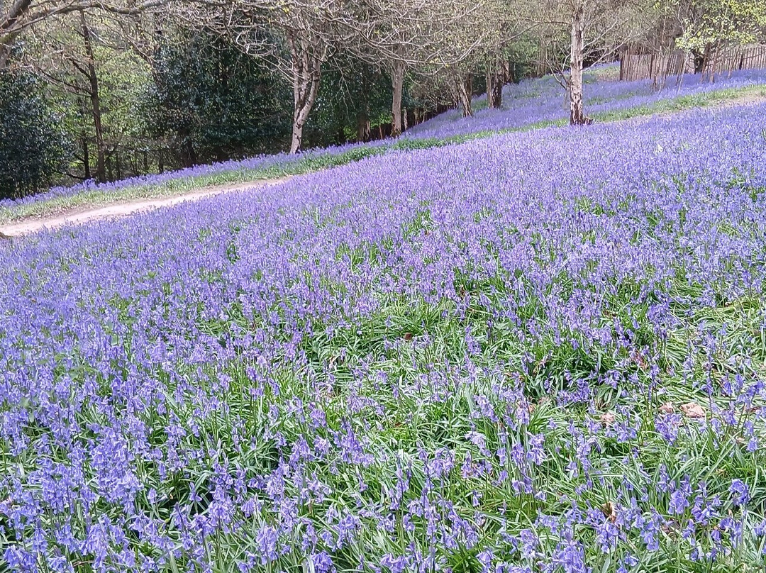 Emmetts Garden-Sevenoaks必去景点